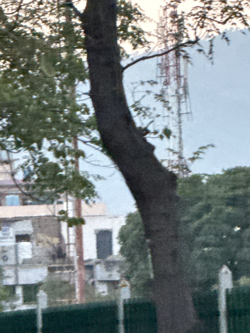 walking near me in CDA Public Park in spring