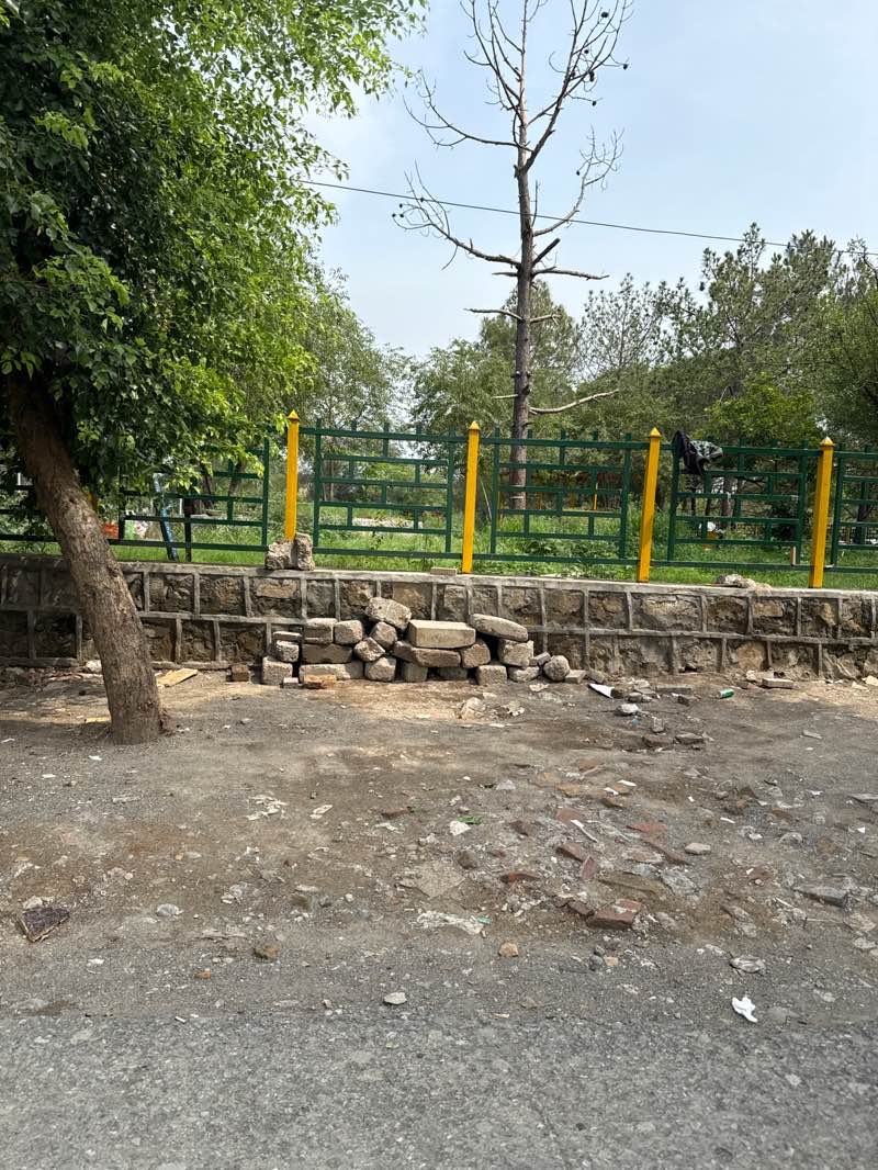 walking near me in CDA Park maintained by Shifa in summer