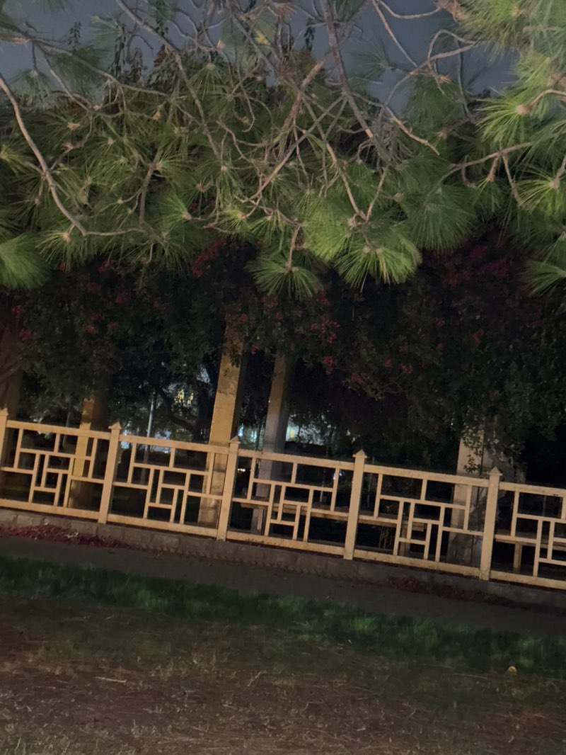 walking near me in G-11 Markaz Park in summer