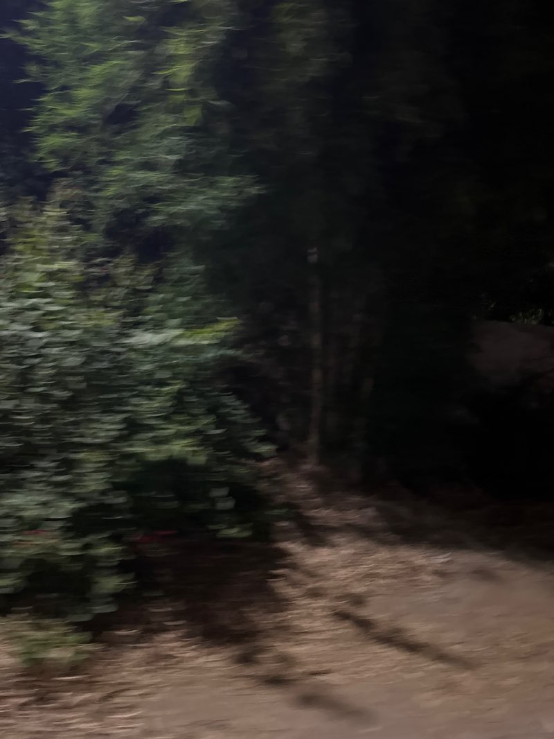 walking near me in IMCB Campus Park in summer