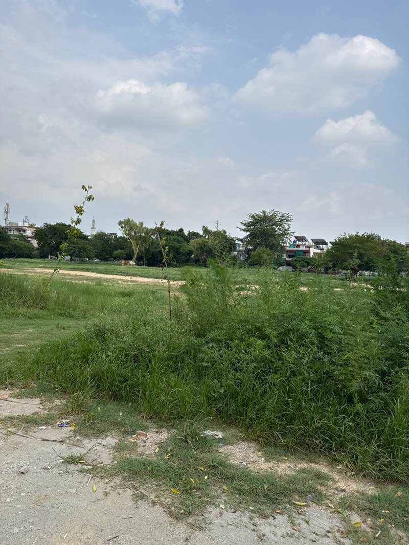 walking near me in Multipurpose Public Park in summer