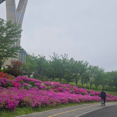 HRDKESG 정은희(1990083) post image