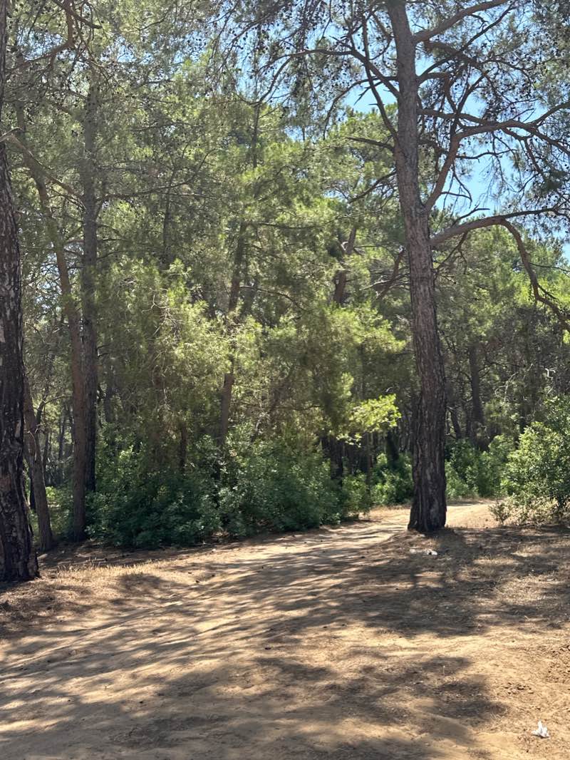 walking near me in Ali Bey Resort Side in winter