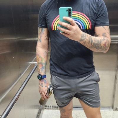 T-rex das pernas Willdignado post image