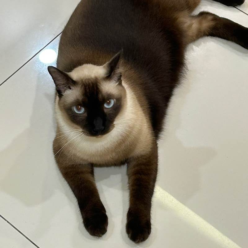 0040885_liana nazliana post 1