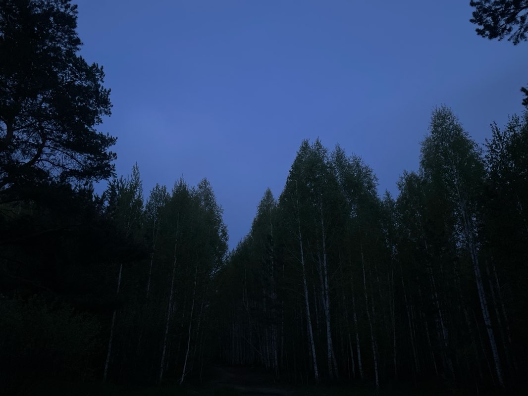walking near me in Severo-Zapadny park in winter