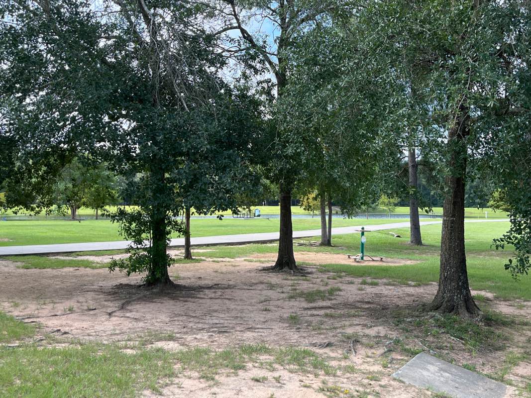 walking near me in Carl Barton Jr Park in autumn