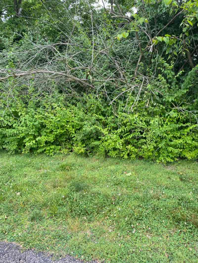 walking near me in Iron Horse Park in winter