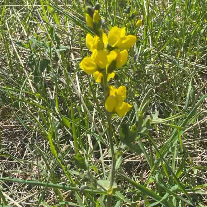 Boiler Apocalypse post 2