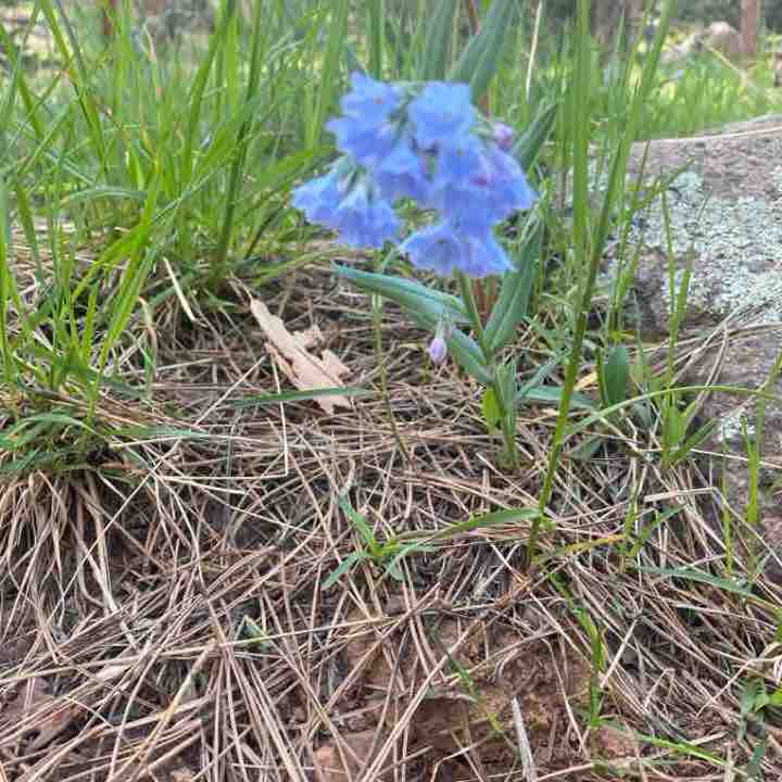 Boiler Apocalypse post 3