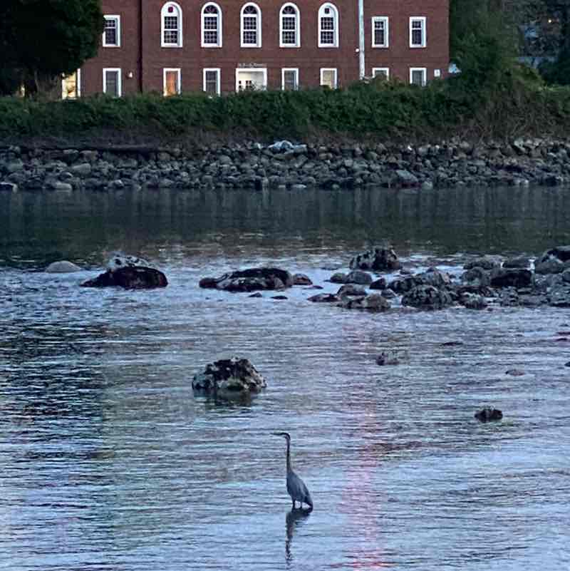 Boiler Apocalypse post 2