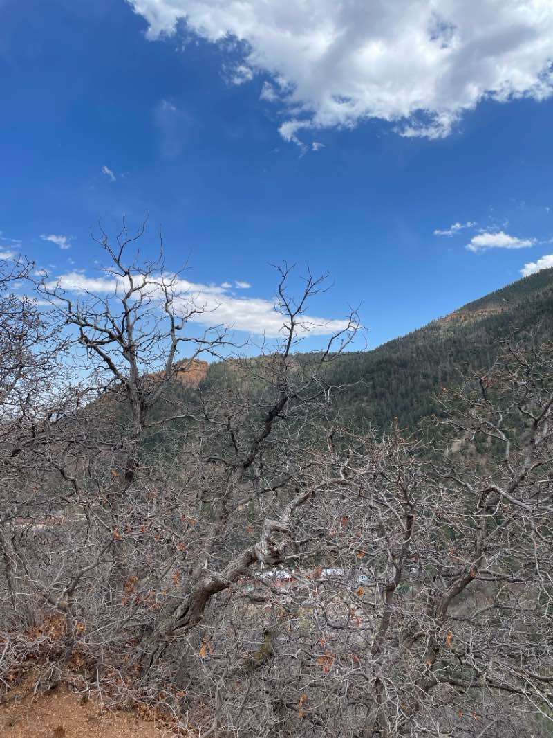 walking near me in Memorial Park in winter