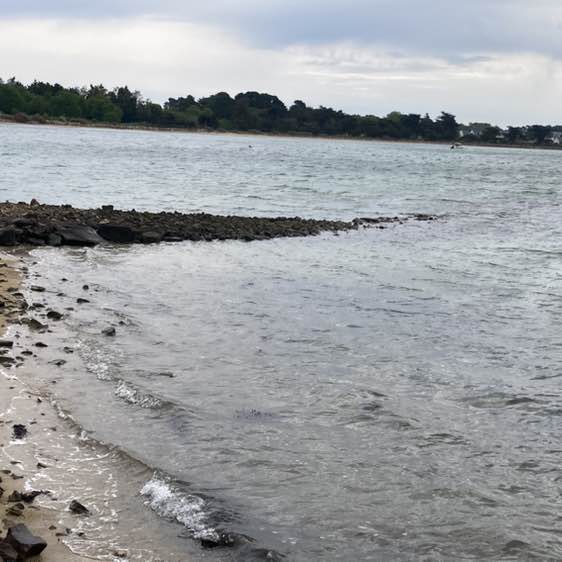 Les Bretons 🇨🇵 jean yves post image