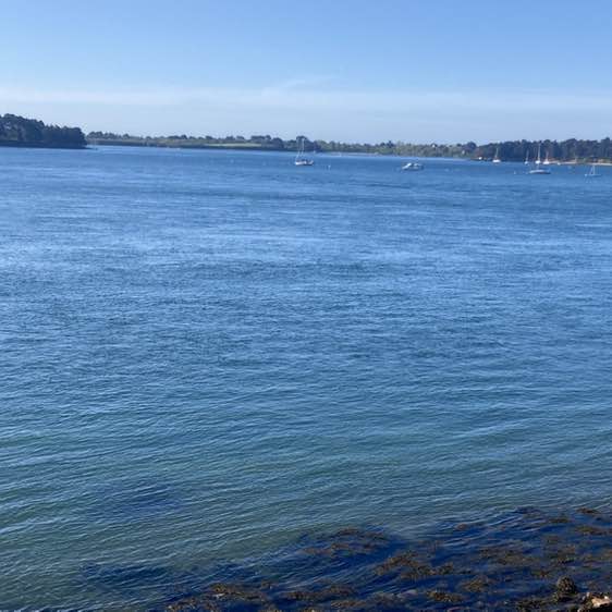 Les Bretons 🇨🇵 jean yves post image