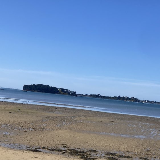 Les Bretons 🇨🇵 jean yves post image