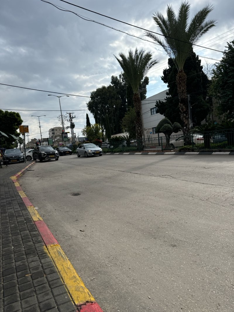 walking near me in Founders Garden in winter