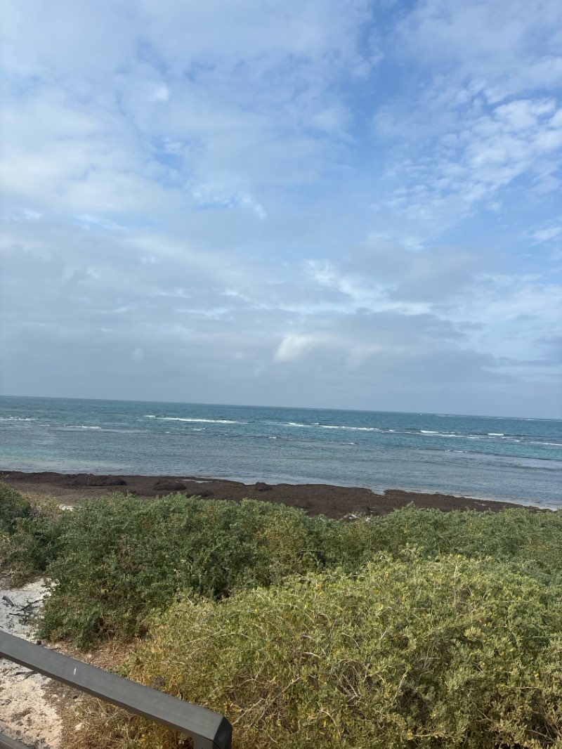 walking near me in Captains Public Open Space in summer