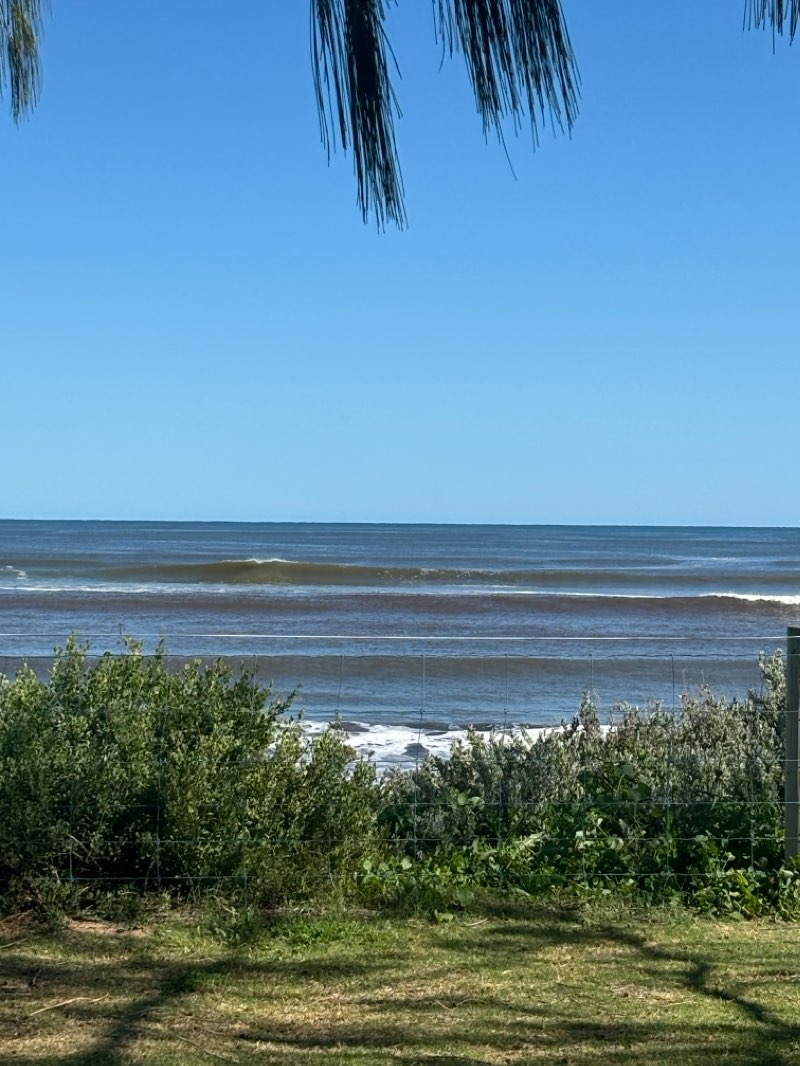 walking near me in Marina Park in summer