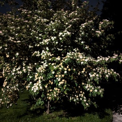 Two Left Feet post 1