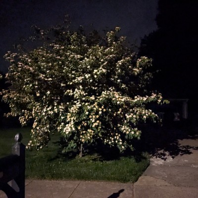 Two Left Feet post 2