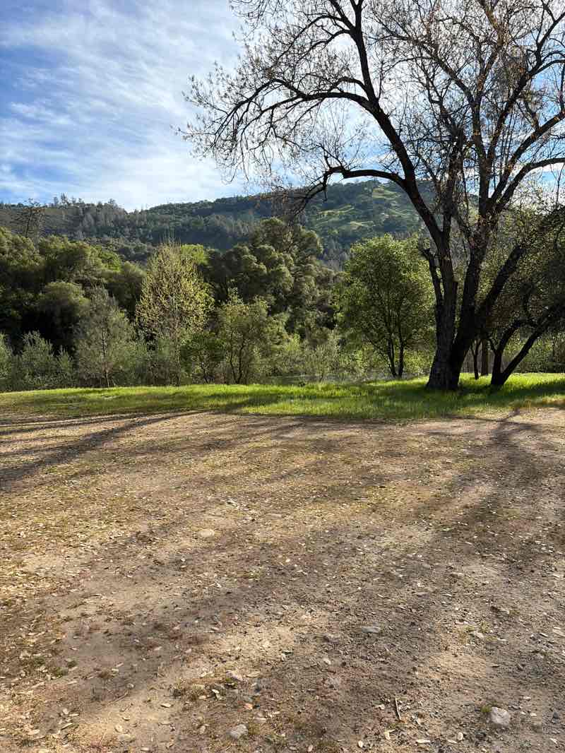 walking near me in Marshall Gold Discovery State Historic Park in spring