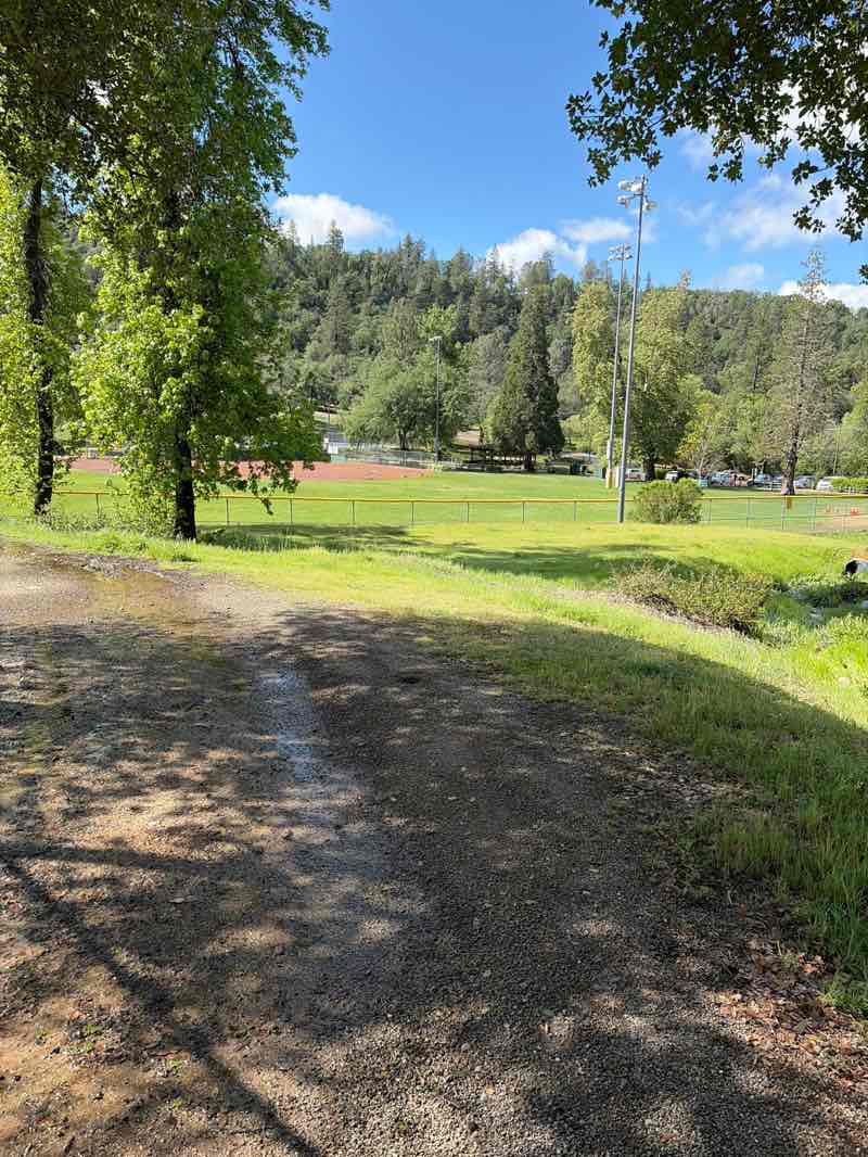 walking near me in Lions Park in spring