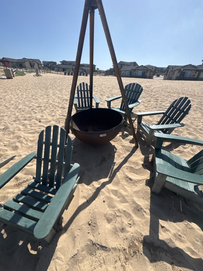 walking near me in Marina Dunes Natural Preserve in spring