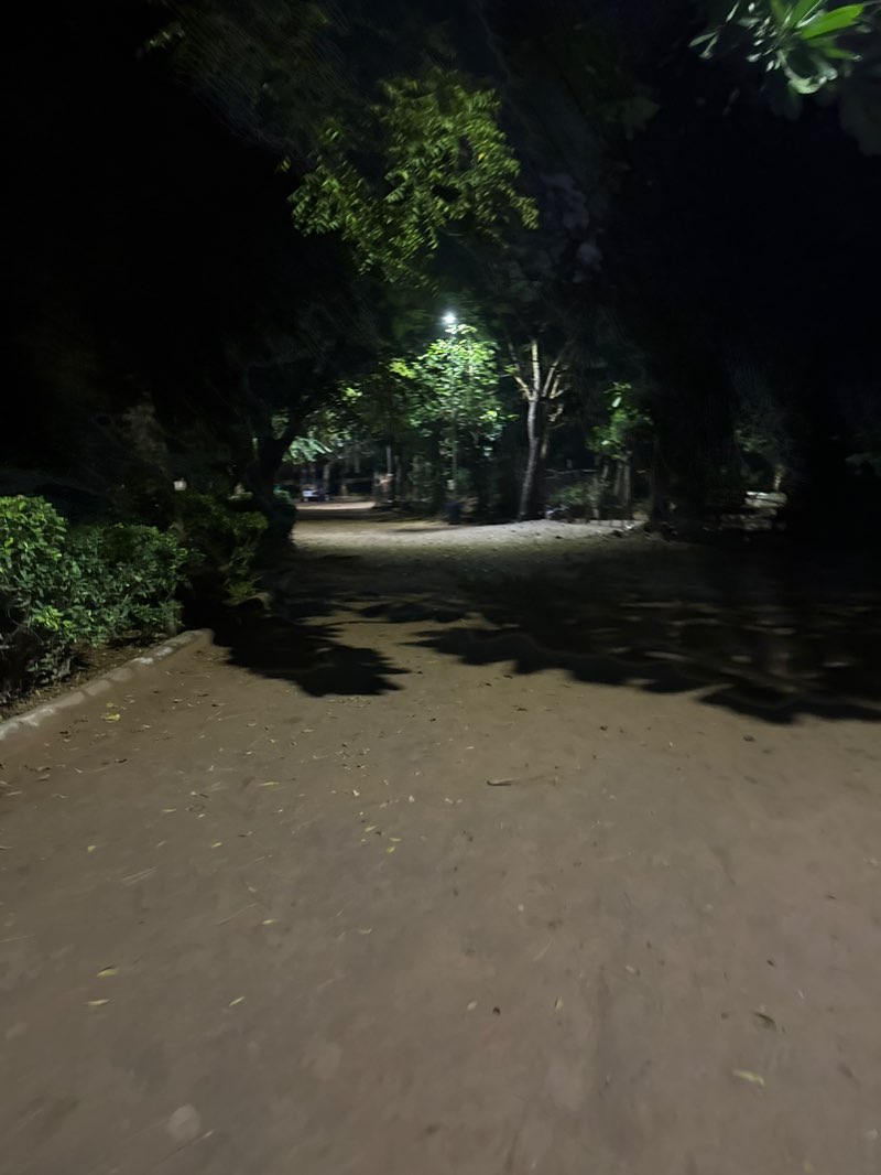 walking near me in vikram park in autumn