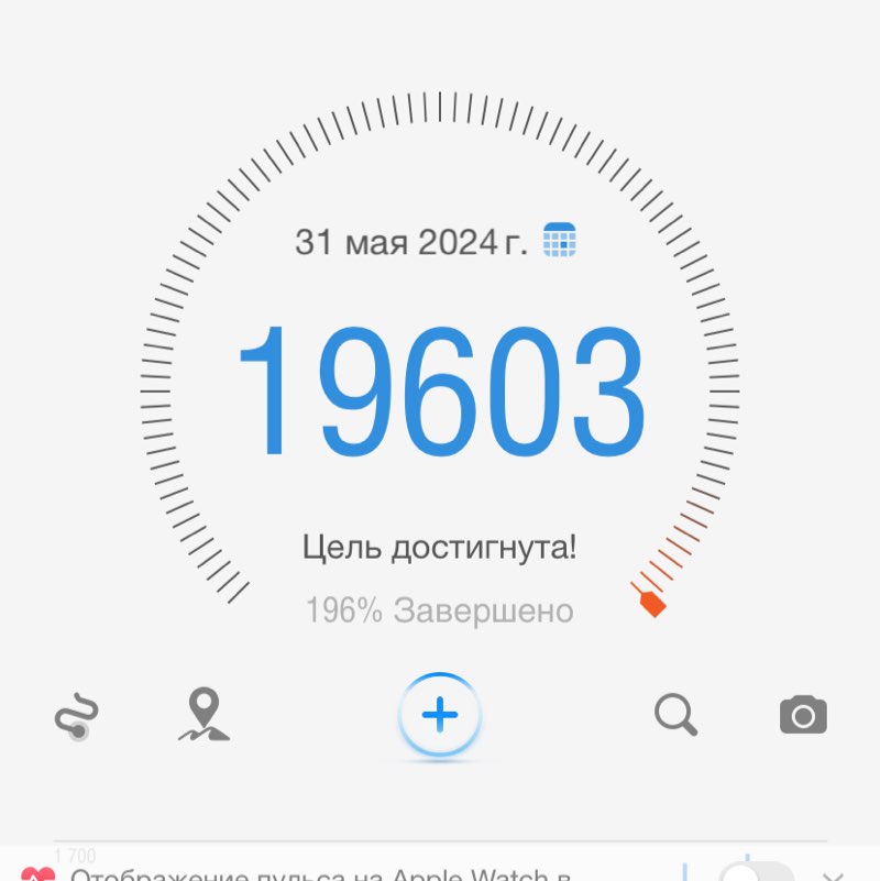 Спорт норма жизни Анастасия (организатор) post image