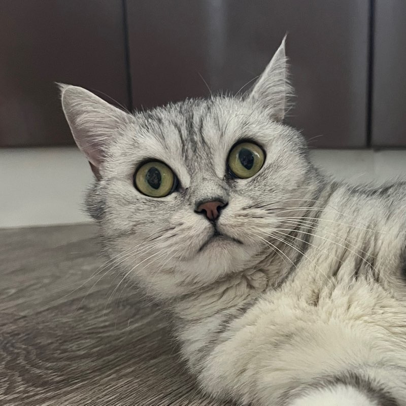 Перевозчикова Мария profile