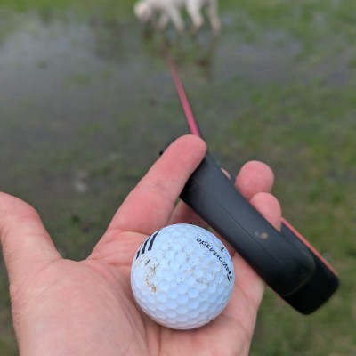 Нишлије у Торонту СпасиЦа post image