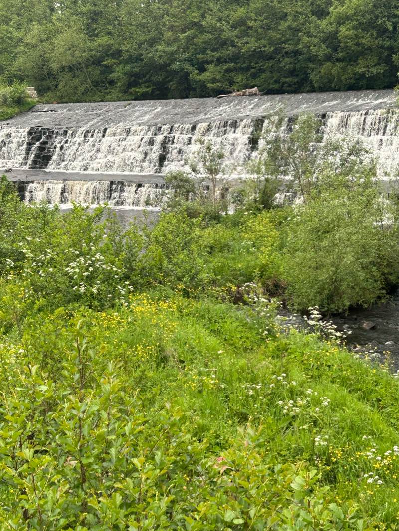 walking near me in Dodder Valley Park in winter