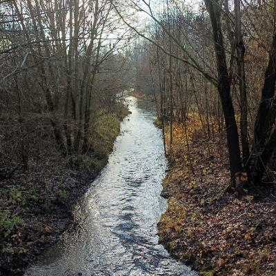 Et pourquoi pas toi Kilian 🇩🇪 🐈 🐈‍⬛ 🇨🇵 post image