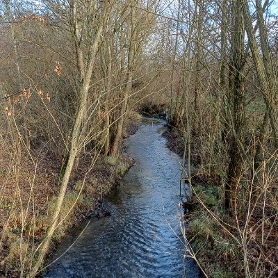 Et pourquoi pas toi Kilian 🇩🇪 🐈 🐈‍⬛ 🇨🇵 post image