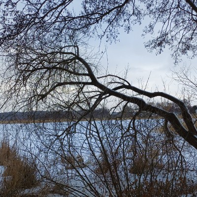 Schritte Challenge HS Coburg Kilian 🇩🇪 🐈 🐈‍⬛ 🇨🇵 post image