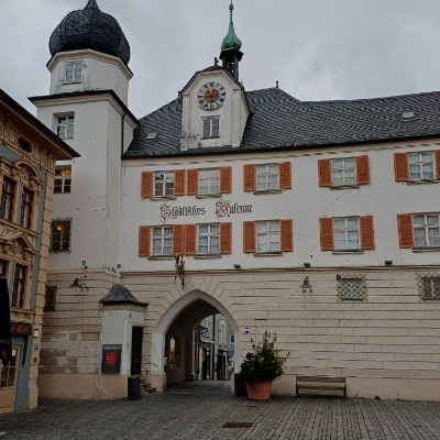 La marche, le plein d énergie Kilian 🇩🇪 🐈 🐈‍⬛ 🇨🇵 post image