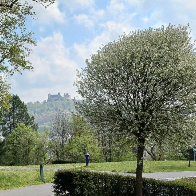 Et pourquoi pas toi Kilian 🇩🇪 🐈 🐈‍⬛ 🇨🇵 post image