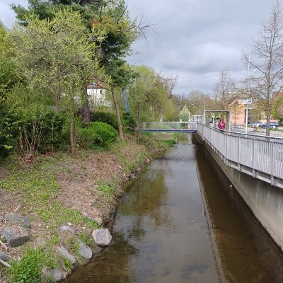 La marche, le plein d énergie Kilian 🇩🇪 🐈 🐈‍⬛ 🇨🇵 post image