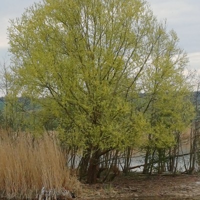 MARCHER RÉGULIÈREMENT Kilian 🇩🇪 🐈 🐈‍⬛ 🇨🇵 post image