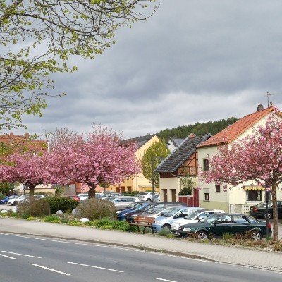 En Marche Breizh Kilian 🇩🇪 🐈 🐈‍⬛ 🇨🇵 post image