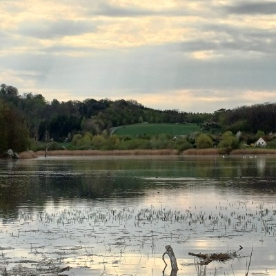 MARCHER RÉGULIÈREMENT Kilian 🇩🇪 🐈 🐈‍⬛ 🇨🇵 post image