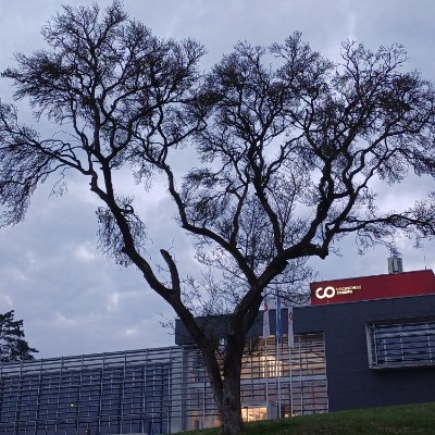 💝DAILY WALKS💝 Kilian 🇩🇪 🐈 🐈‍⬛ 🇨🇵 post image