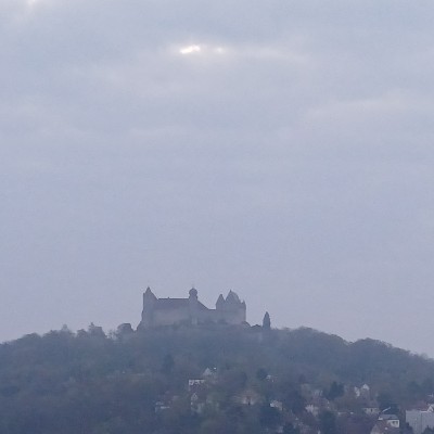 💝DAILY WALKS💝 Kilian 🇩🇪 🐈 🐈‍⬛ 🇨🇵 post image