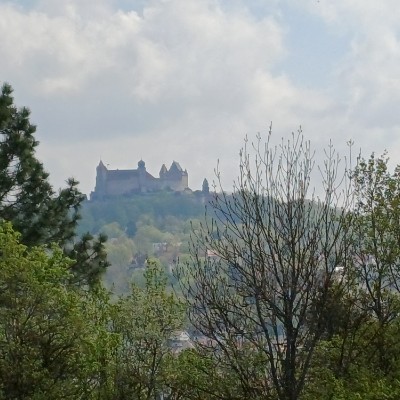 En Marche Breizh Kilian 🇩🇪 🐈 🐈‍⬛ 🇨🇵 post image