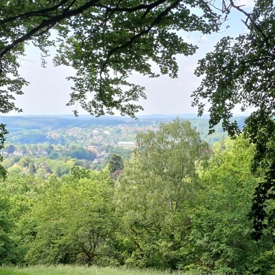 Bouger pour mieux vivre KK 🇩🇪🇨🇵 post image