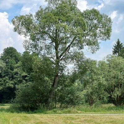 🌺BELGIUM FLOWER🌺 Kilian 🇩🇪🇨🇵🇪🇺, glücklich verheiratet - bitte KEINE privaten (Kontakt-) Anfragen!!! post image