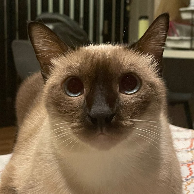 Group 7 - Edison profile