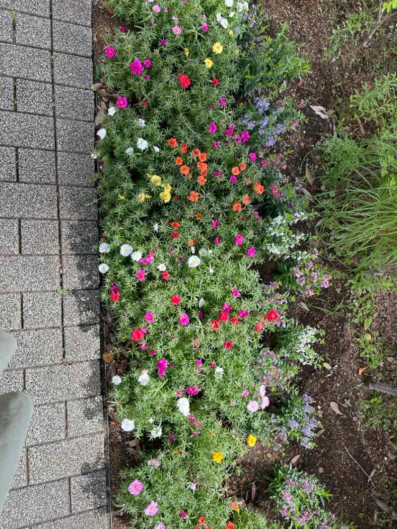 walking near me in 東山公園 in autumn