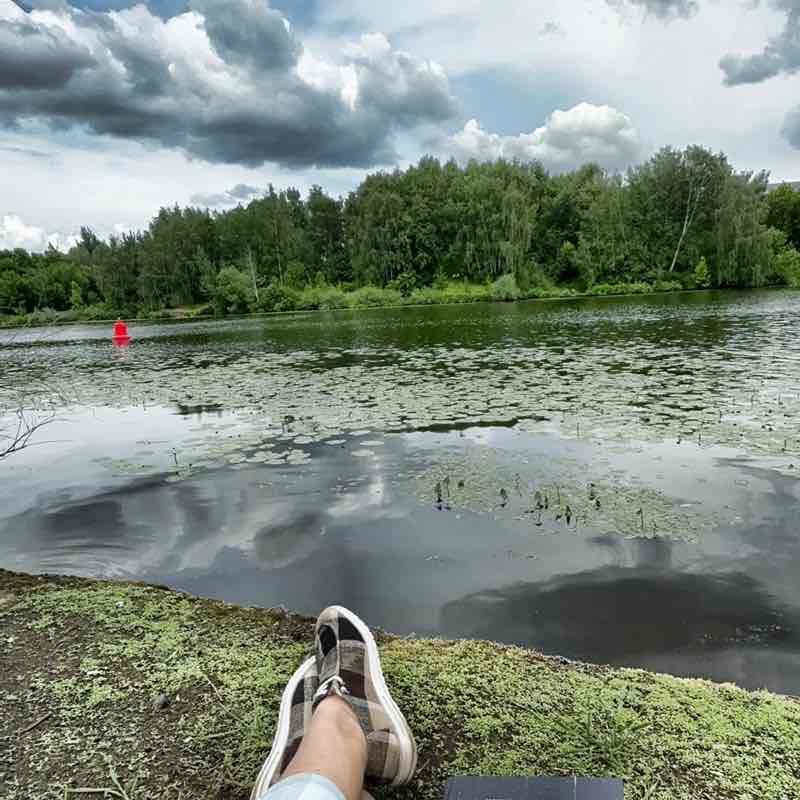 я за ЖИЗНЬ Julia Gerber post image