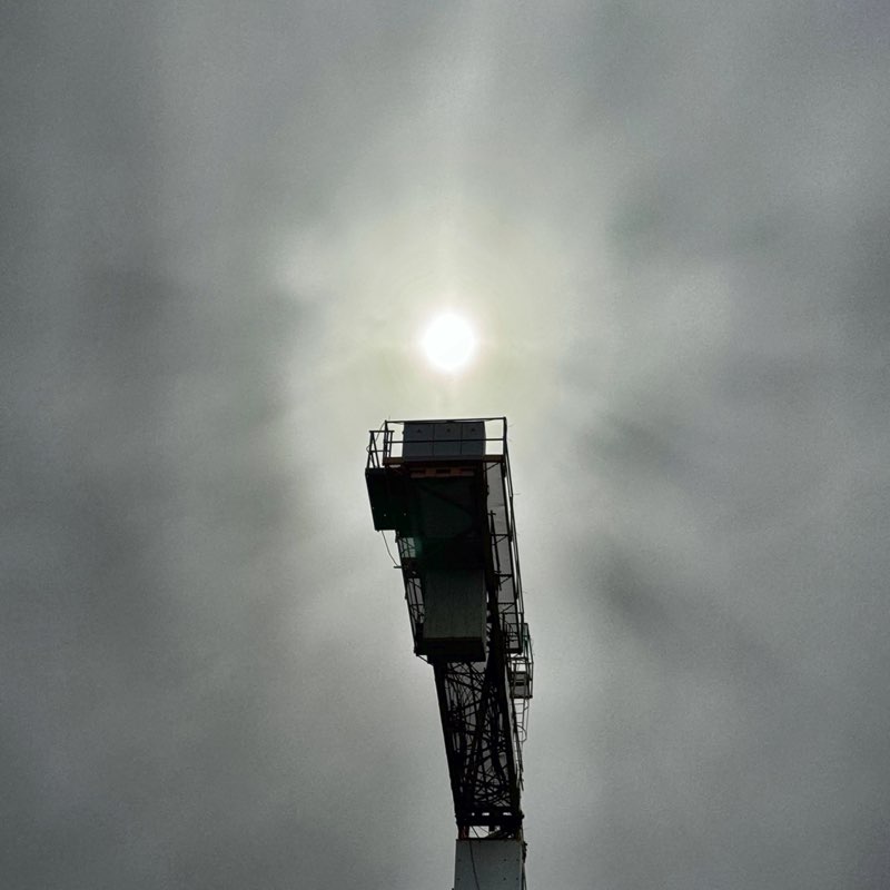 я за ЖИЗНЬ Julia Gerber post image